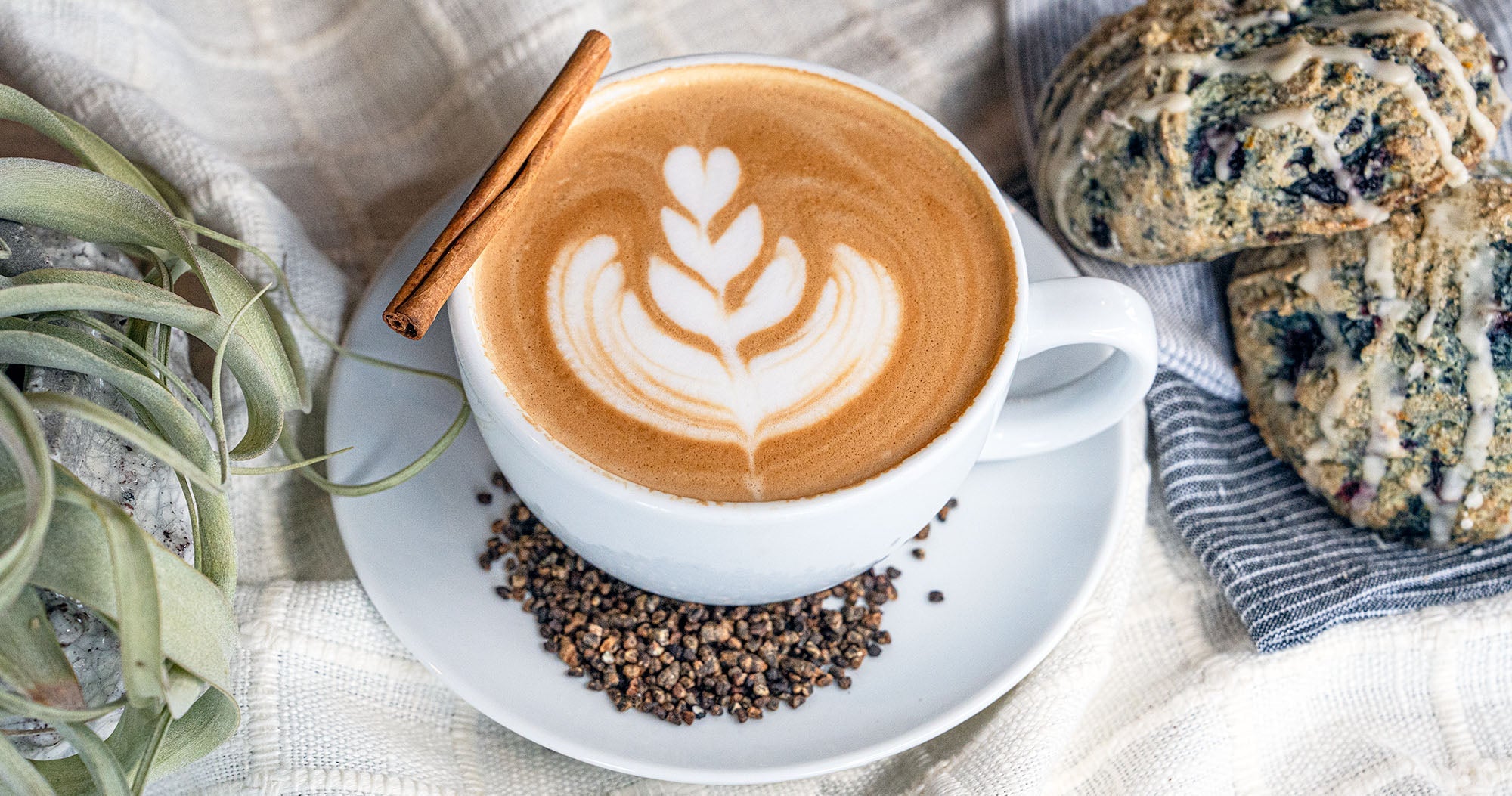 A Cinnamon Cardamom Latte sits between a succulent plant and fresh blackberry scones