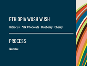 Ethiopia Wush Wush Flavor Card: Hibiscus, Milk Chocolate, Blueberry, Cherry. Process: Natural