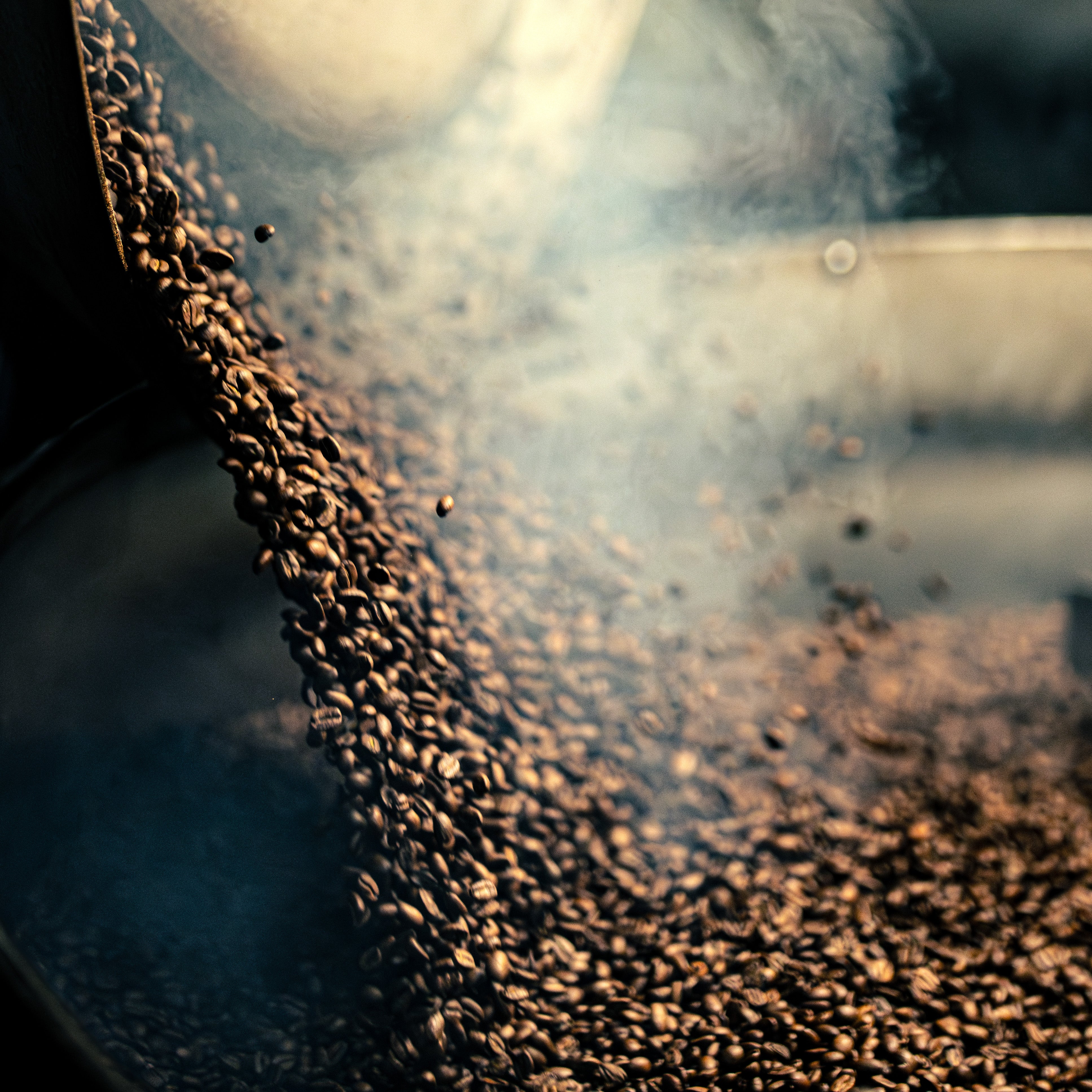 Close-up of coffee beans on a metal surface with a blurred background